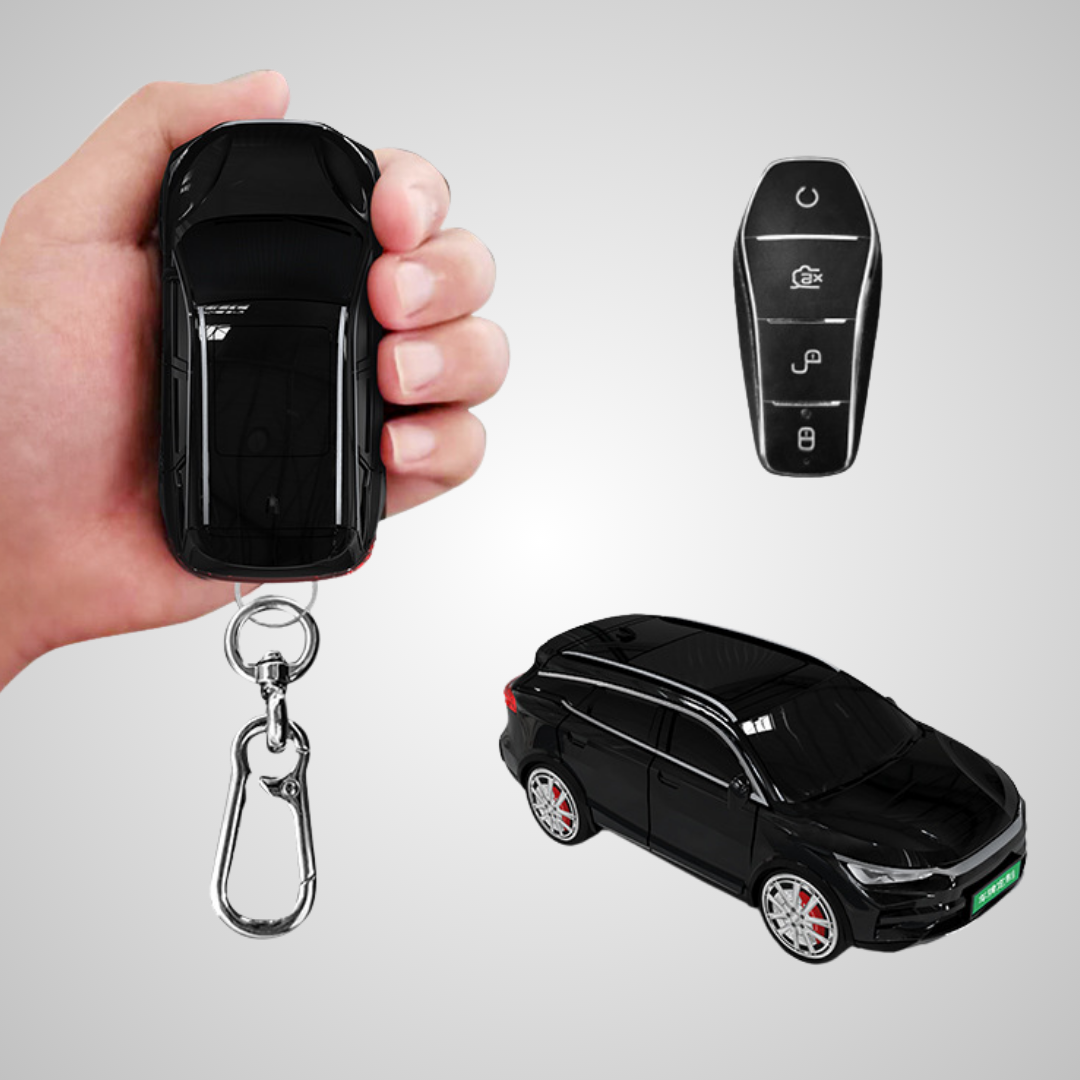 BGK Compatible con BYD Tang (BYD-7)