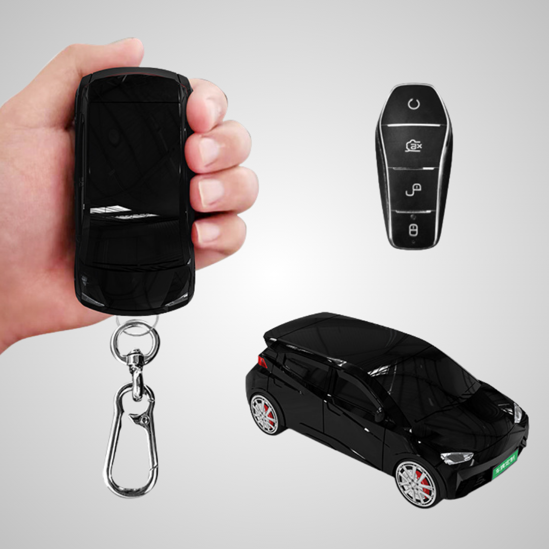 BGK Compatible con BYD Seagull (BYD-8)